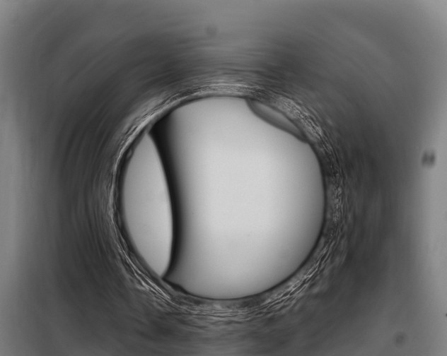X0000098070338200804040733