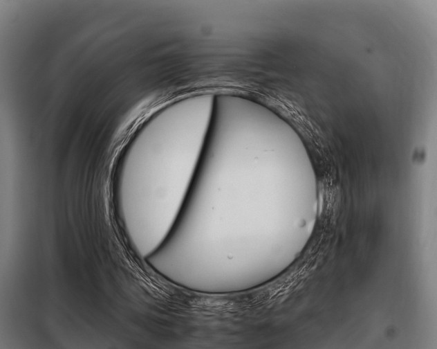 X0000098070339200804040733
