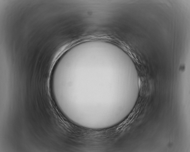 X0000098070340200804040733