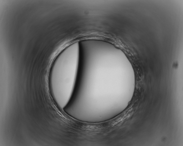 X0000098070341200804040733