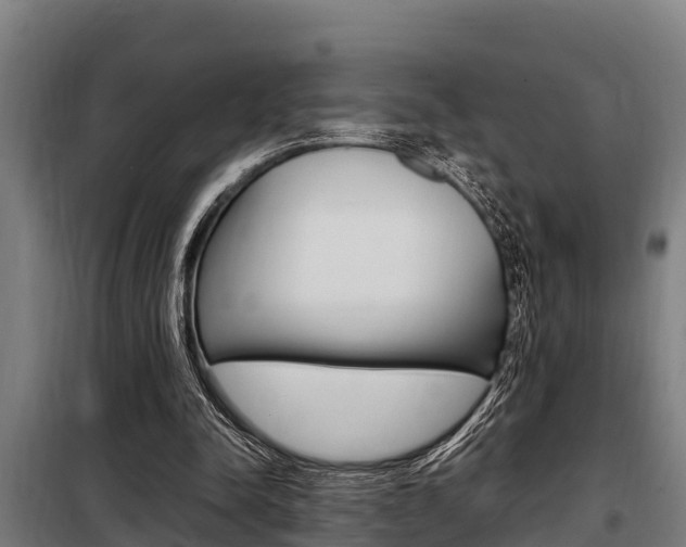 X0000098070342200804040733