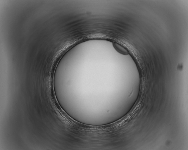 X0000098070345200804040733