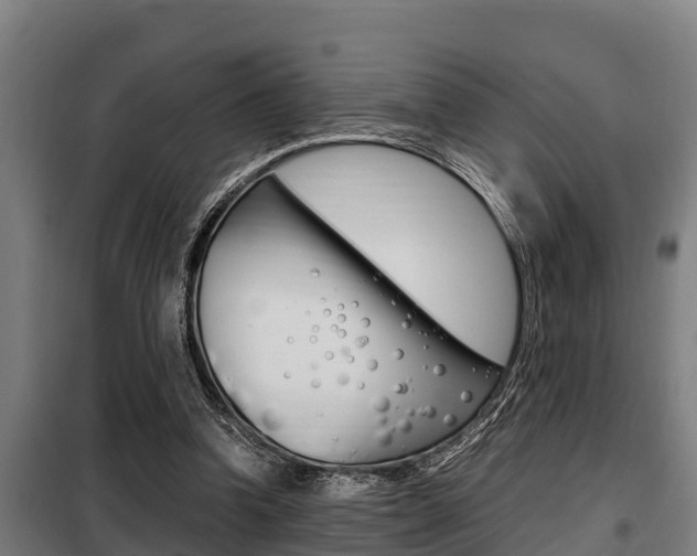X0000098070346200804040733