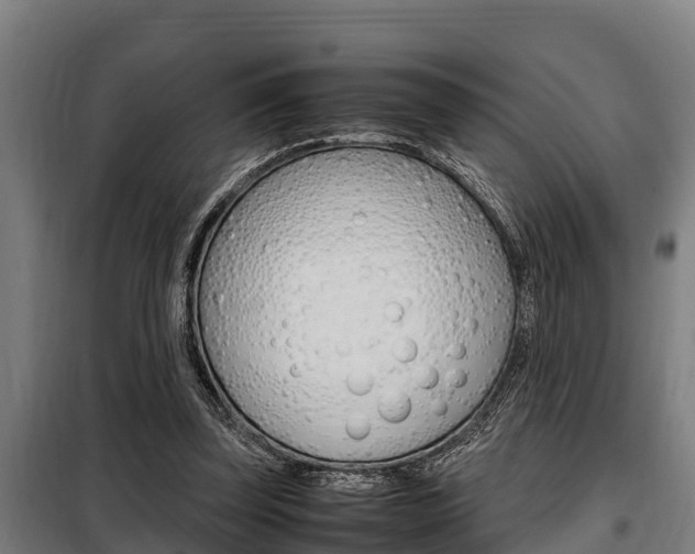 X0000098070347200804040733