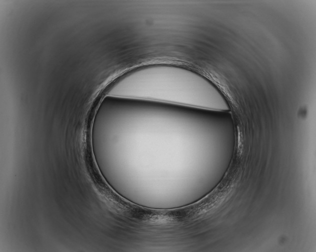X0000098070348200804040733
