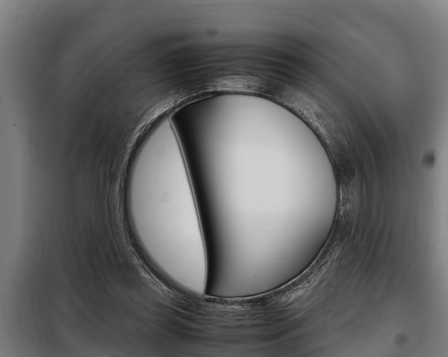X0000098070349200804040733