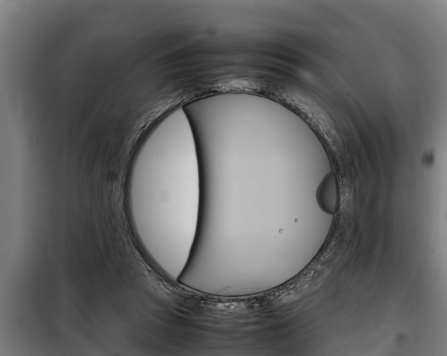 X0000098070353200804040733