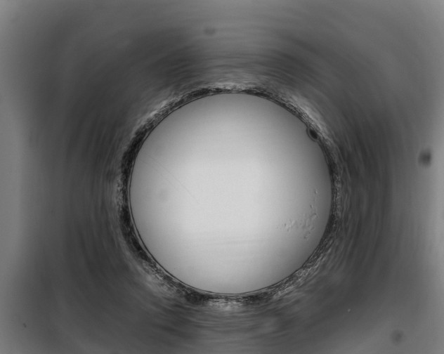 X0000098070354200804040733