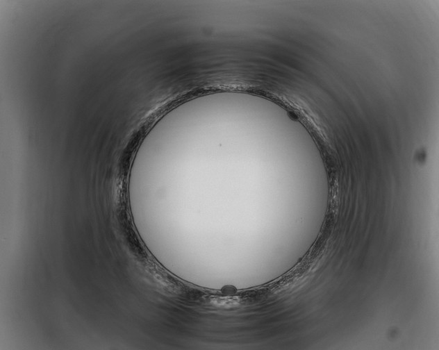 X0000098070355200804040733