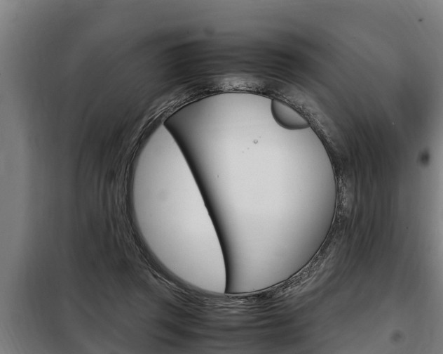 X0000098070357200804040733