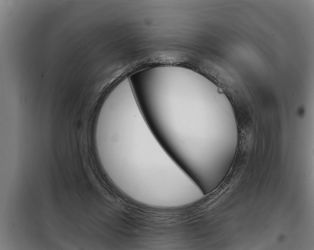 X0000098070358200804040733