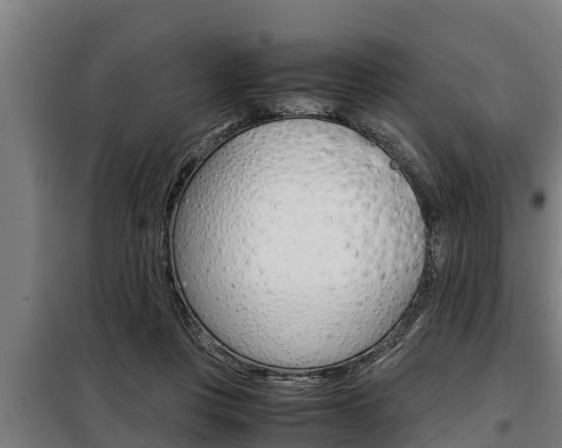 X0000098070359200804040733