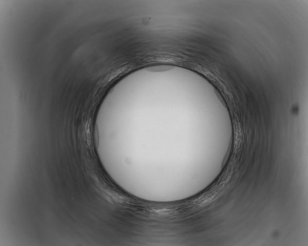 X0000098070360200804040733