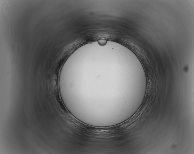 X0000098070361200804040733