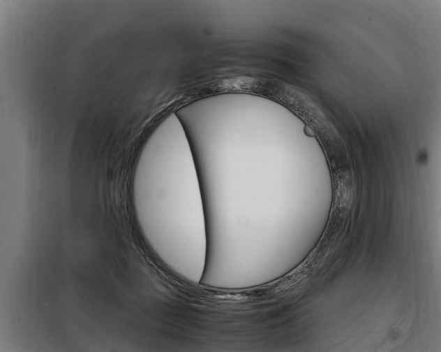X0000098070363200804040733