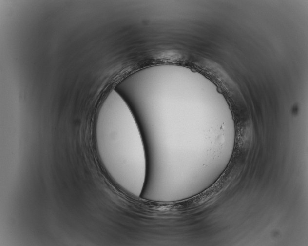 X0000098070365200804040733