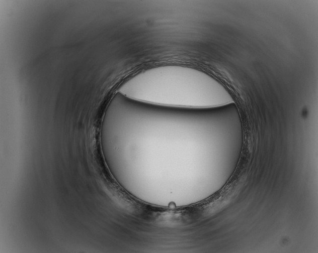 X0000098070366200804040733