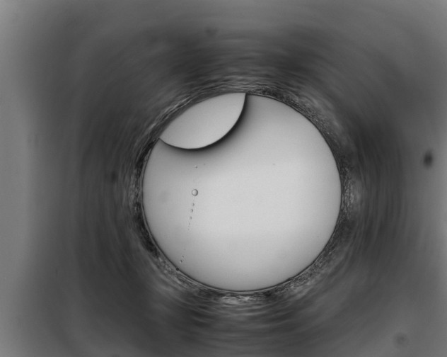 X0000098070367200804040733