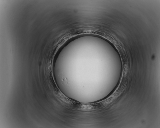 X0000098070376200804040733