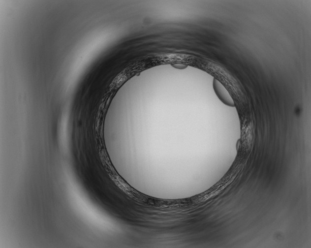 X0000098070381200804040733