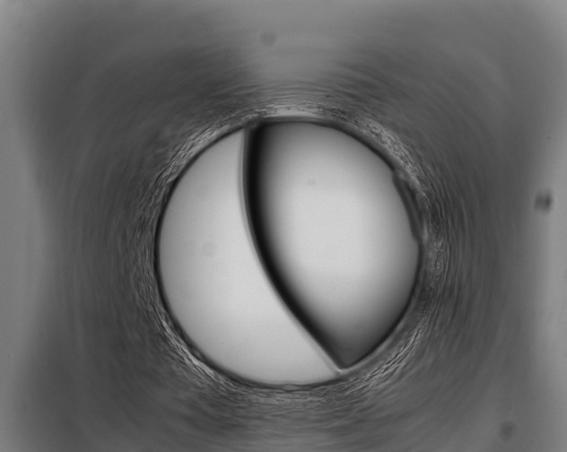 X0000098070385200804040733