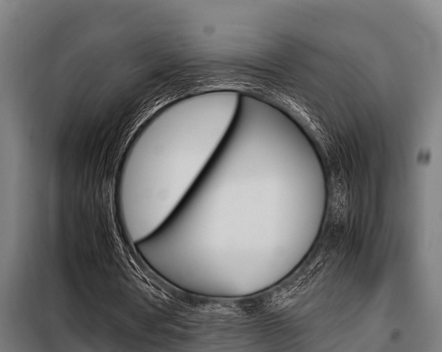 X0000098070386200804040733