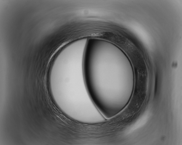 X0000098070387200804040733