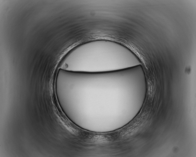 X0000098070390200804040733