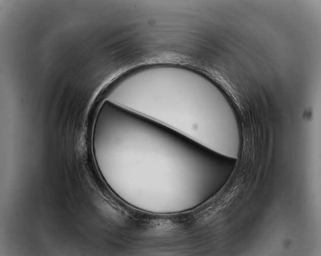 X0000098070392200804040732
