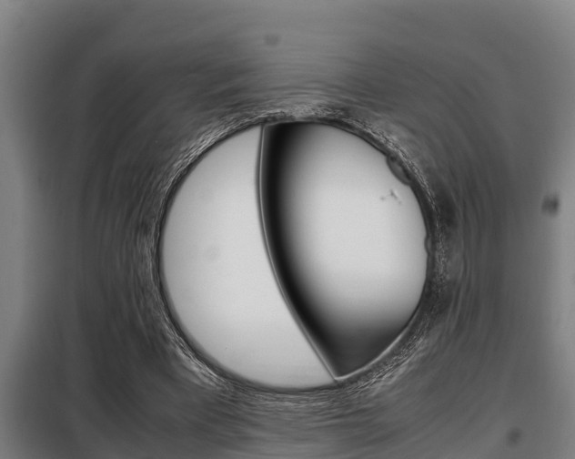 X0000098070393200804040732