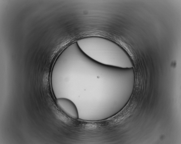 X0000098070394200804040732