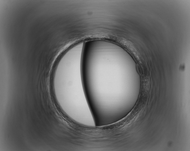 X0000098070395200804040732