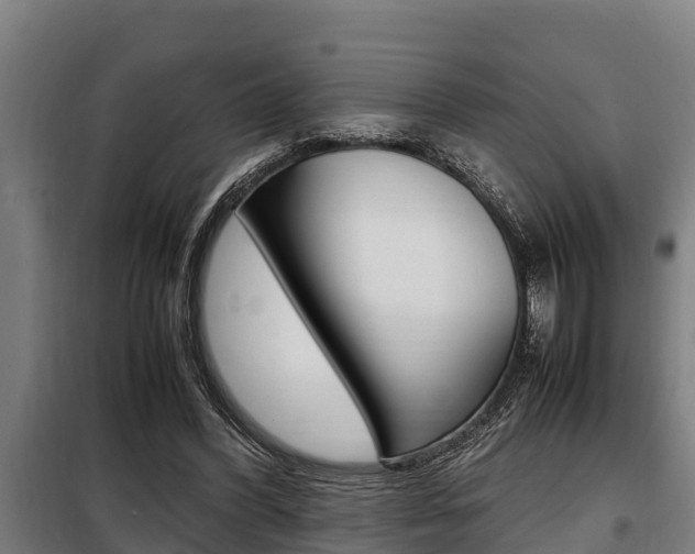 X0000098070396200804040732