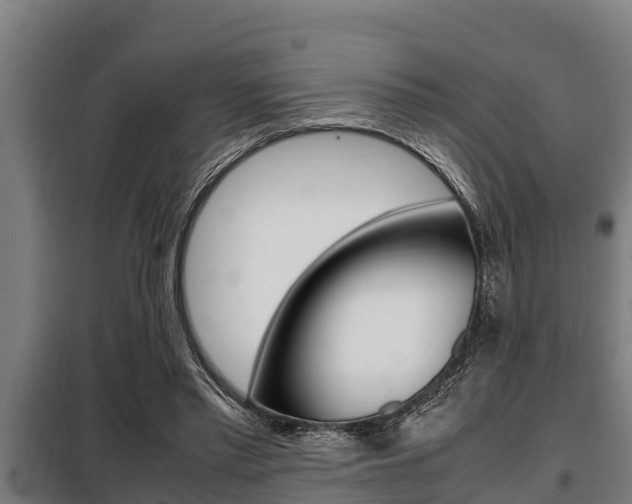 X0000098070397200804040732