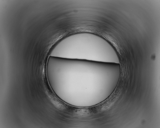 X0000098070398200804040732