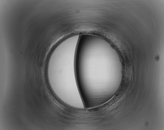 X0000098070399200804040732