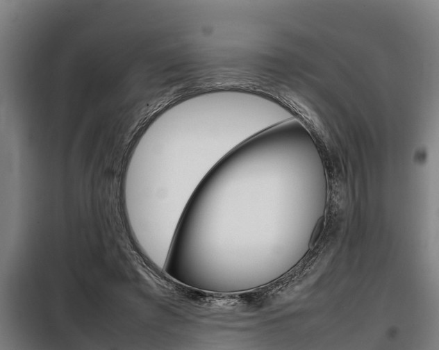 X0000098070401200804040732