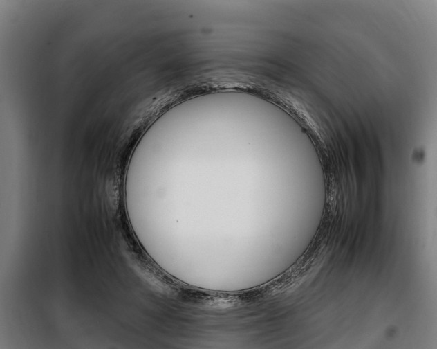 X0000098070402200804040732