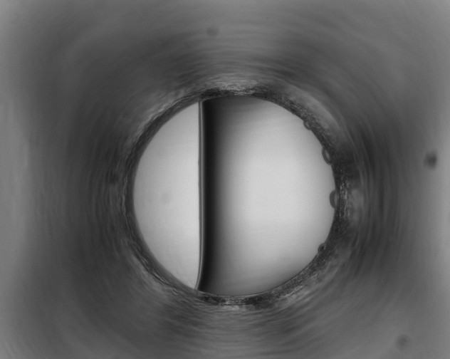 X0000098070404200804040732