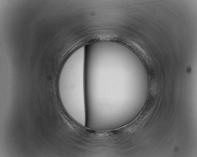 X0000098070405200804040732