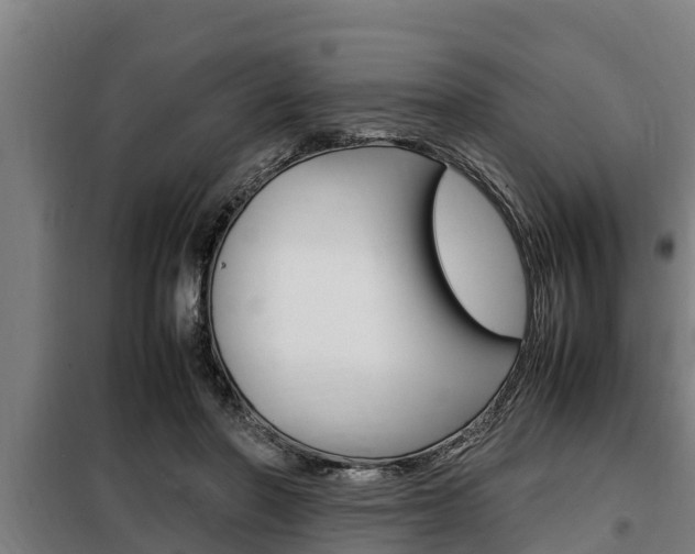 X0000098070406200804040732