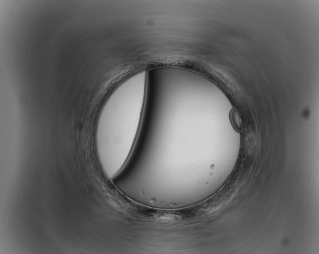 X0000098070407200804040732