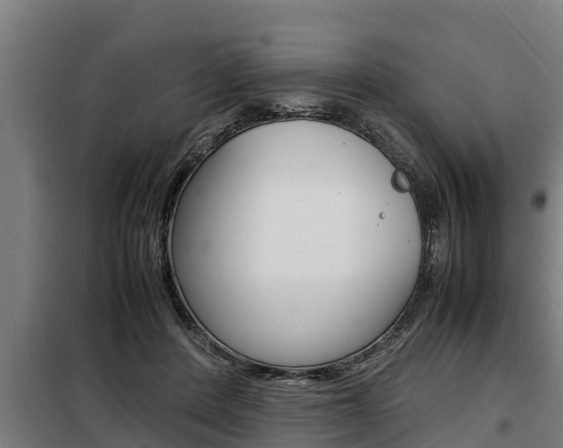 X0000098070408200804040732