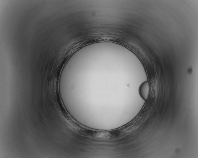X0000098070410200804040732