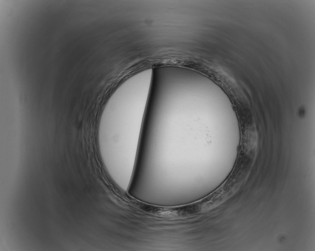 X0000098070413200804040732