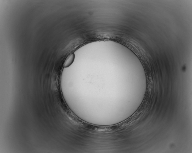 X0000098070414200804040732