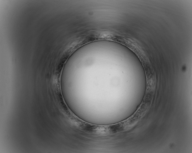X0000098070415200804040732