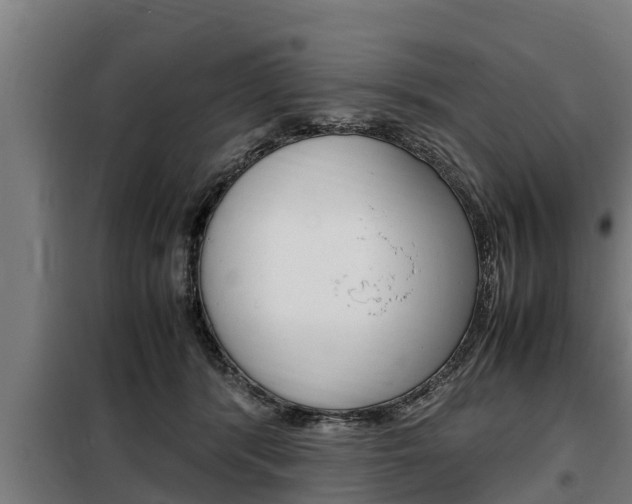 X0000098070416200804040732
