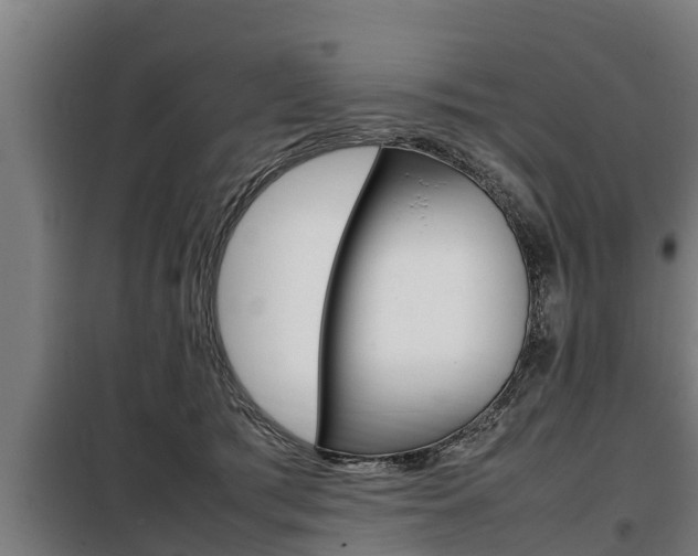 X0000098070417200804040732