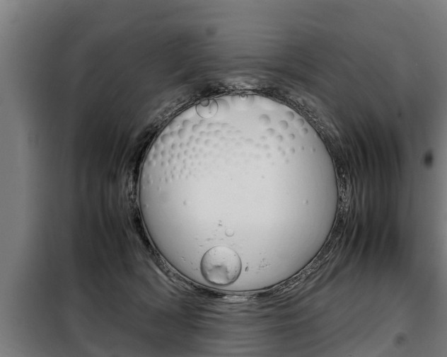 X0000098070418200804040732